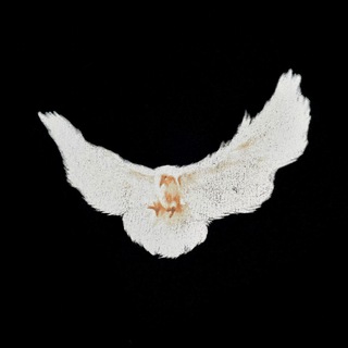 Логотип телеграм канала @mechtaymusic — christian | music