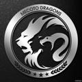 Telegram kanalining logotibi mecotodragons — Mecoto Dragons ™