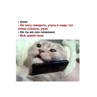 Логотип телеграм канала @med_devyli — вылечим,если из меда не вылетим