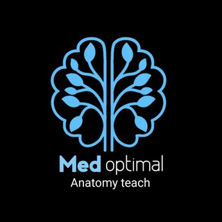 Logo saluran telegram med_optimal — Medoptimal Anatomy teach