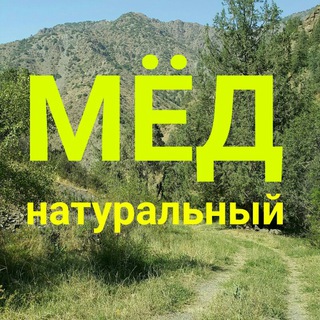 Логотип телеграм канала @med_tashkent — МЁД_Ташкент