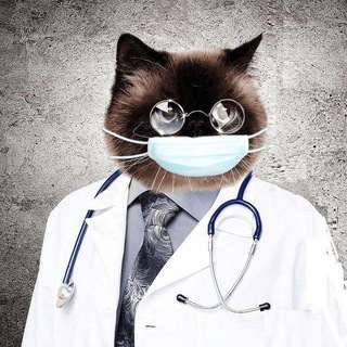 Логотип телеграм канала @medalbum — Medical photo album Медицина для профи врачи медики