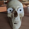 Логотип телеграм канала @meddebri — Медицинские дебри