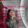 Логотип телеграм канала @mediagirlinlaw — медийщик в законе