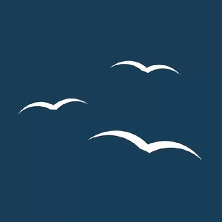 Логотип телеграм канала @mediapaluba — Медиапалуба