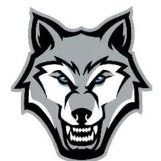 Логотип телеграм канала @mediawolf — Media Wolf
