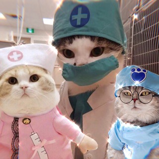 Логотип телеграм канала @medic_cats — Котики и медицина