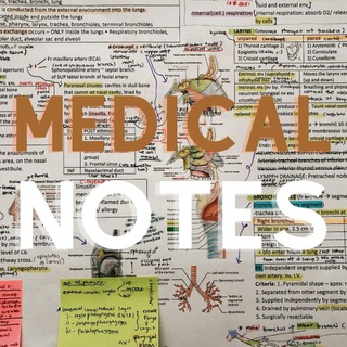 Logo saluran telegram medica_notes — medical notes 🩺