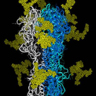 Logo of telegram channel medicalbiochemistry — Clinical Biochemistry
