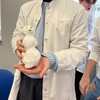 Логотип телеграм канала @medicanan — Заметки будущего врача