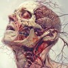 Логотип телеграм канала @medicina_nova — Medicina Nova | Блог о медицине