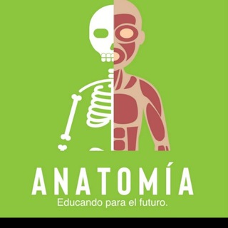 Telegram channel Anatomía y Neuroanatomía con Reynoso logo