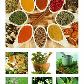 لوگوی کانال تلگرام medicinallyplants — کانال تخصصی گیاهان دارویی