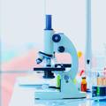 لوگوی کانال تلگرام medicine9 — علم ➰التحليلات ➰المرضية 🔬