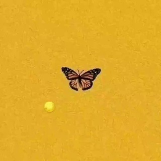 Telegram kanalining logotibi medinemadona_09 — 🌕💛Sunny🌕💛