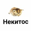 Логотип телеграм канала @mediynayablad — Некитос (mediynayablad)