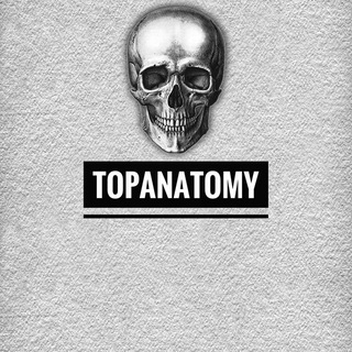 Логотип телеграм канала @medtopanatomy — TOPANATOMY &