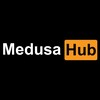 Logo of telegram channel medusahub — Medusa Hub