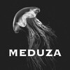 Лагатып тэлеграм-канала meduza_fanfiction — MEDUZA