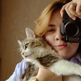 Логотип телеграм канала @medveddiiblog — By Medveddii