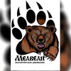 Логотип телеграм канала @medvedi_germanija — Медведи"Wunderbären" Musikakademie