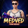 Логотип телеграм канала @medvediiikkk — TDM NEWS