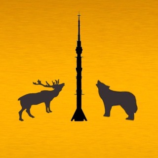 Логотип телеграм канала @medvedlos — Медведь и Лось. СВАО