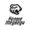 Логотип телеграм канала @medvedy2008 — белые медведи 2008