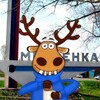 Логотип телеграм канала @medvenka_46 — ПОДСЛУШАНО МЕДВЕНКА