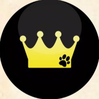 Telegram channel Anaemilia Diniz | Carreira de Sucesso na Medicina Veterinária logo