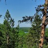 Логотип телеграм канала @medwiedma — • медвежий угол •