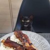 Logo of telegram channel meeeeeeeooooooow — meowing