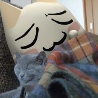 Логотип телеграм канала @meef_zxc07 — Mef [Отзывы]