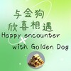 电报频道的标志 meetinggoldenca — 遇见金狗 ｜Meet with Golden Dog