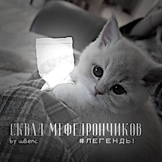 Логотип телеграм канала @mefedronscvad — Новости сквада от людей под мефедроном