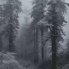 Логотип телеграм канала @mefnft5 — Дэнни STORE