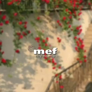 Логотип телеграм канала @mefsr — ахуени #меф ⚡️