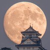 Логотип телеграм канала @mega12k — мега | пн • чт 🇰🇷