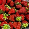 Логотип телеграм канала @megafruits — Фрукты и Овощи