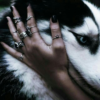 Logo de la chaîne télégraphique megapremium2020 - 🄼🄴🄶🄰 🄿🅁🄴🄼🄸🅄🄼