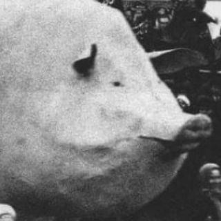 Логотип телеграм канала @megatiktoki — Заграничные Тиктоки от Илюхи