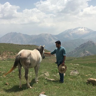 لوگوی کانال تلگرام mehdijalily — کولی و باران
