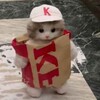 Логотип телеграм канала @mehmatyourself — Сам себе мехмат