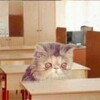 Логотип телеграм канала @meil5aitry — Блог сплетницы Тати