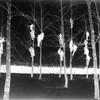 Логотип телеграм канала @mejelai — Новые дворники, сторожа и кочегары {Лиза Хереш}