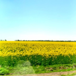 Логотип телеграм -каналу melanchoii — 𝕿𝖍𝖊 𝖕𝖆𝖙𝖍 𝖙𝖔 𝖔𝖇𝖑𝖎𝖛𝖎𝖔𝖓🇺🇦