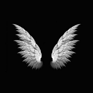 Telgraf kanalının logosu meleklerin_ashki — 💕🕊Aşk kuşları🕊💕