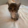 Логотип телеграм канала @meleuzrb — А в Мелеузе любят