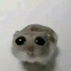 Логотип телеграм канала @mellerww — меллер вещает