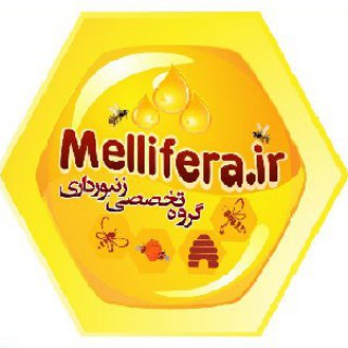 لوگوی کانال تلگرام melliferair — کانال گروه زنبورداری mellifera.ir